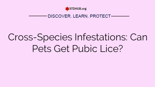 Cross-Species Infestations: Can Pets Get Pubic Lice?