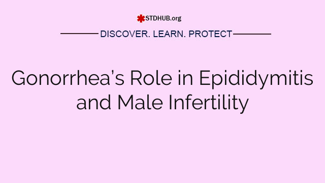 Gonorrhea’s Role in Epididymitis and Male Infertility