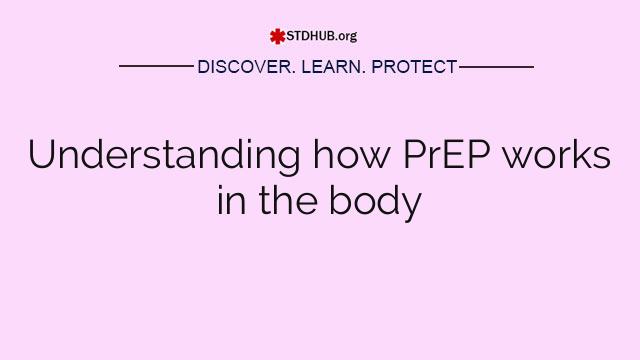 Understanding how PrEP works in the body