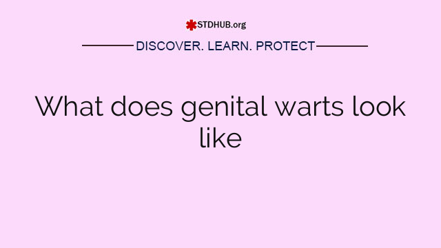 What does genital warts look like